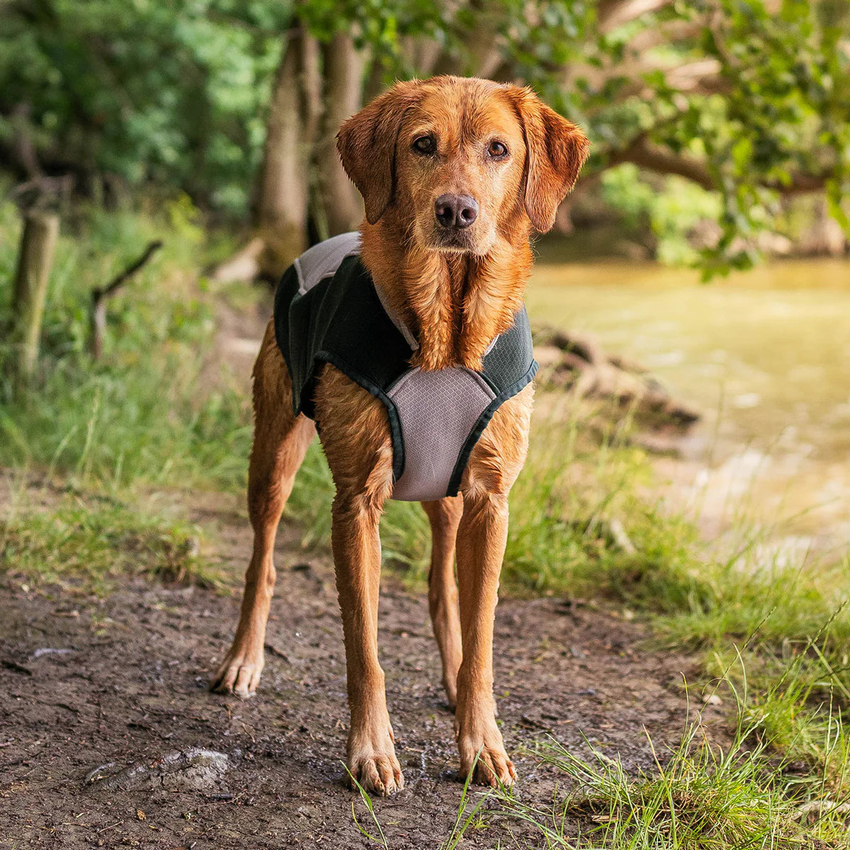 Ruff and Tumble koelvest